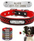 Custom Engraved Name Plate Leather Dog Collar