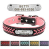 Custom Engraved Name Plate Leather Dog Collar