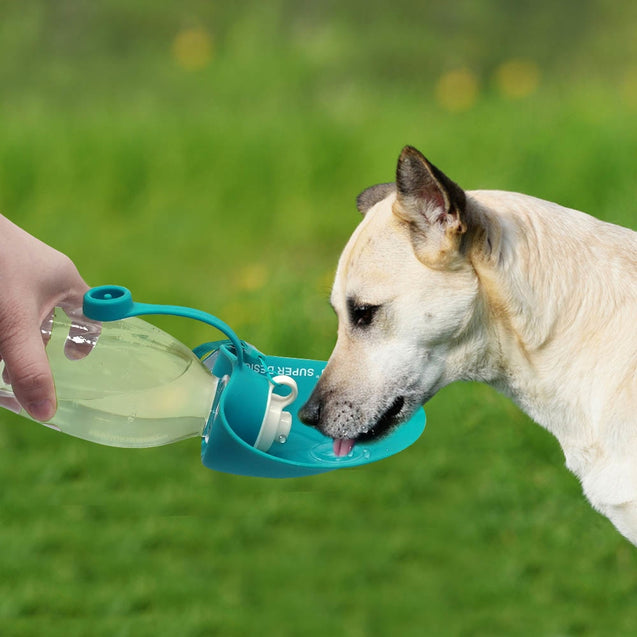 Sporty Dog Travelling Water Bottle