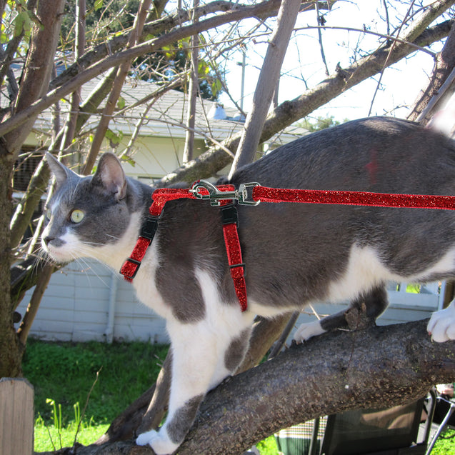 Bling Sequins Cat Harness Leash