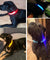 Nylon LED Anti-lost Flashing & Glowing Dog Collar