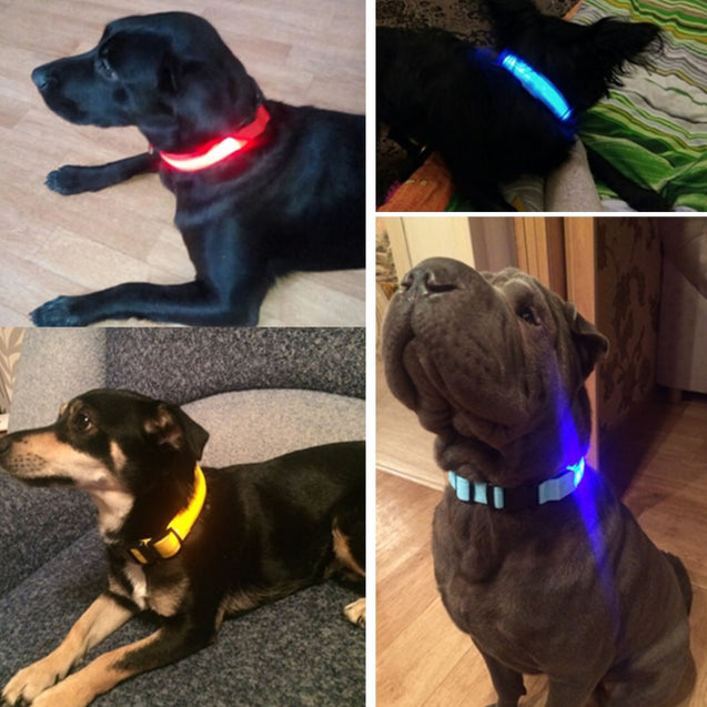 Nylon LED Anti-lost Flashing & Glowing Dog Collar